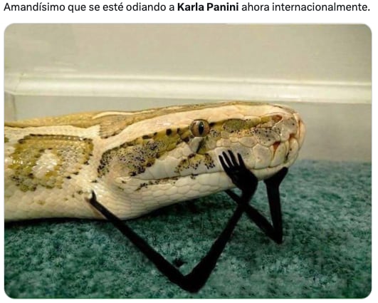 Memes celebran que Karla Panini sea odiada mundialmente