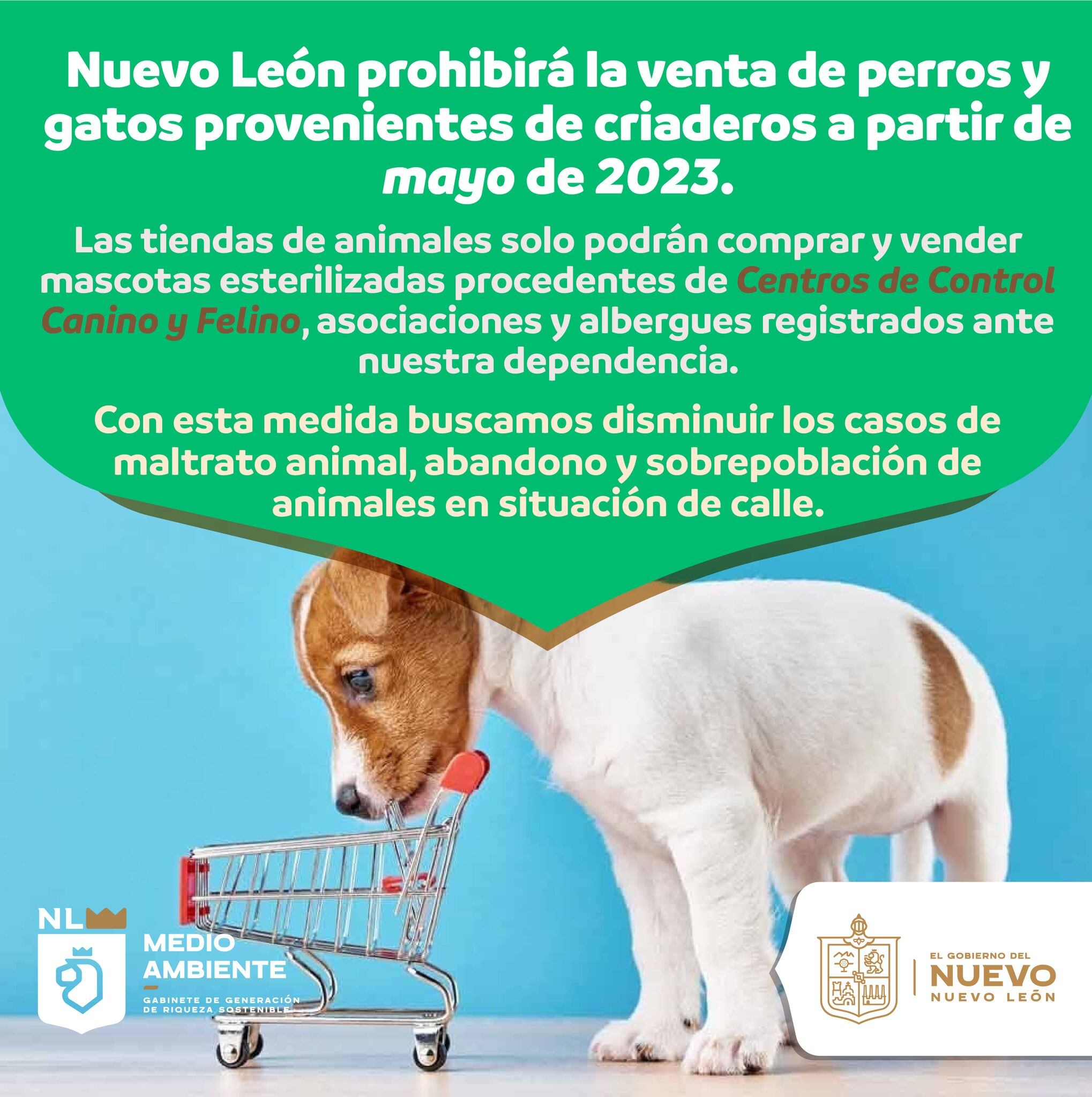 Nuevo León prohíbe venta de perros y gatos