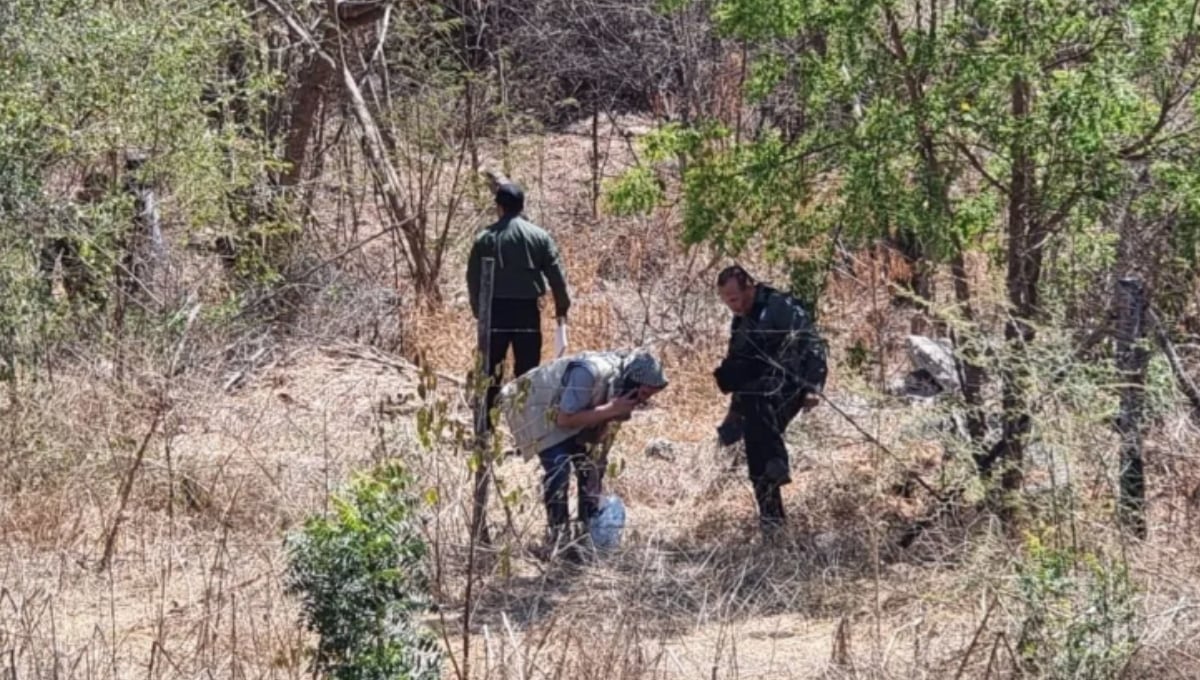 Autoridades de Culiacán
