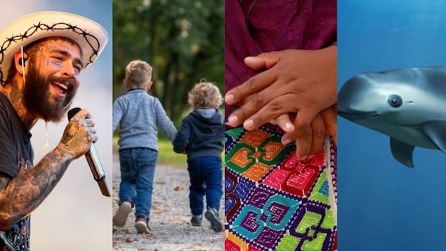 Este 5 de septiembre es el concierto Post Malone en México y se celebra el Día del Hermano, el Día de la Mujer Indígena y el Día de la Vaquita Marina