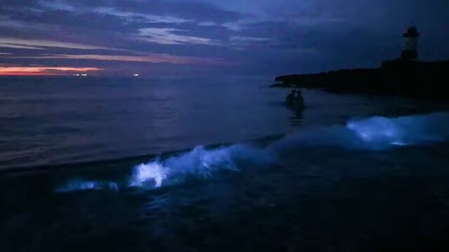 Mar que brilla en la oscuridad