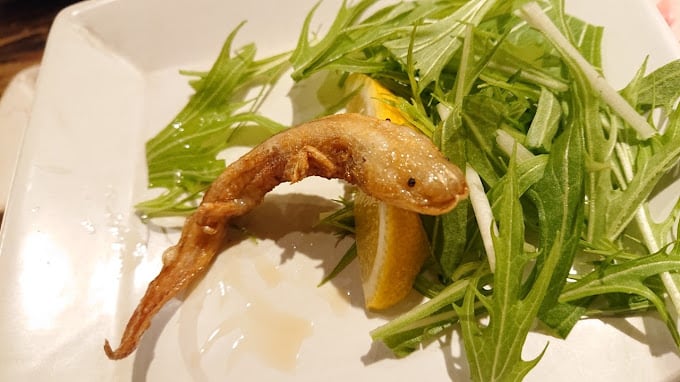 Ajolotes servidos en un restaurante japonés.