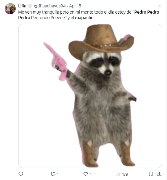 Memes del mapache "Pedro, Pedro"