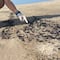 Nuevo derrame de hidrocarburos afecta cuatro playas de Salina Cruz, denuncian pescadores