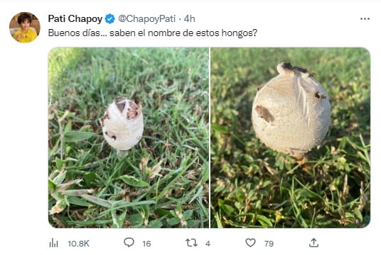 Pati Chapoy