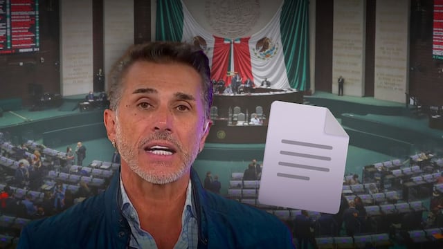 Sergio Mayer solicita reincorporarse a la Cámara de Diputados
