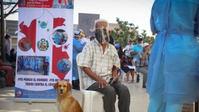 Anciano acompañado de perro