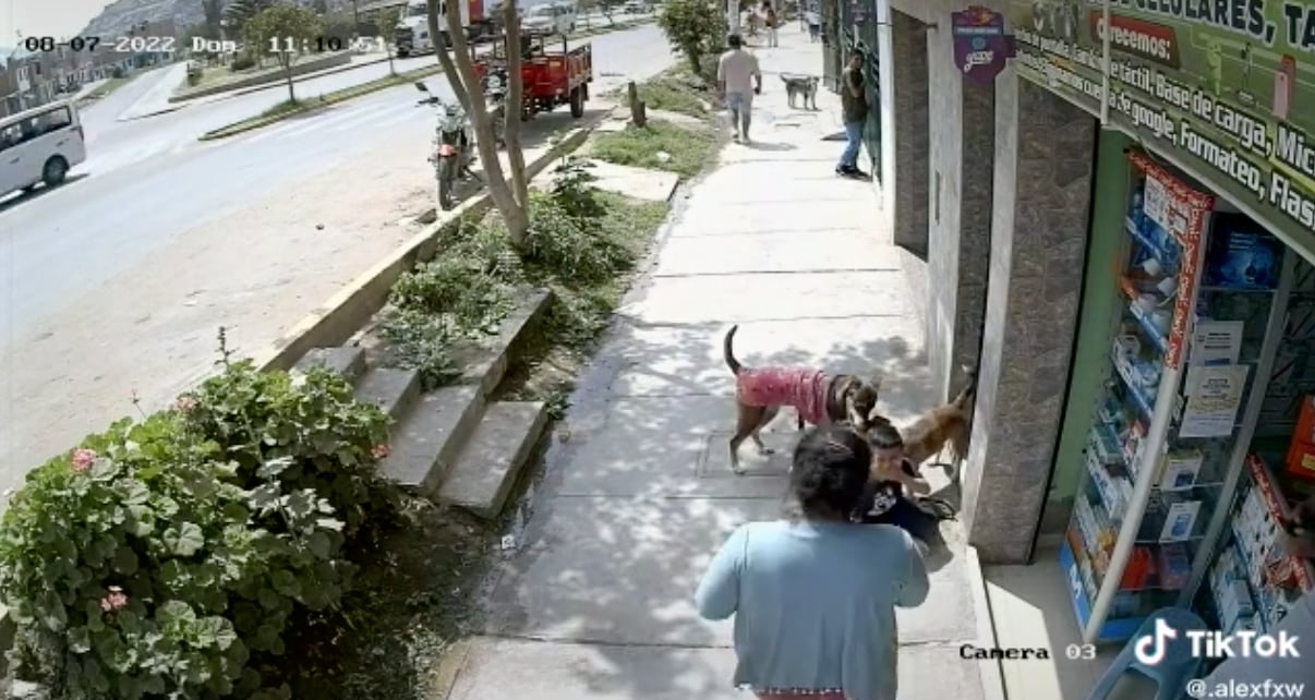 Niño se cae cuando choca con el perro
