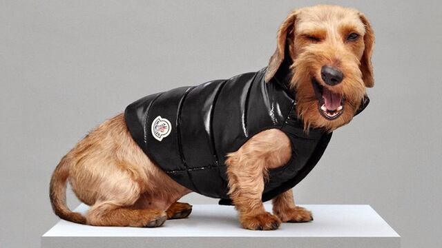 Los precios van desde los 7 hasta los 9 mil pesos.