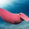 FOTOS: Descubren increíble Mantarraya de color rosa