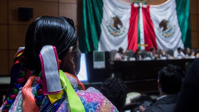 Culturas originarias, Cámara de Diputados