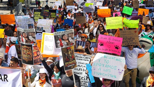 Marcha por Refugio Franciscano