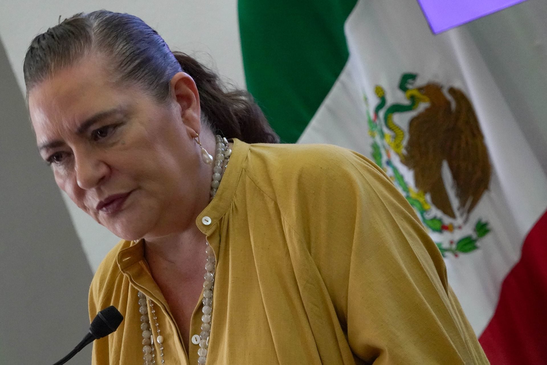 Guadalupe Taddei, consejera presidenta del Instituto Nacional Electoral