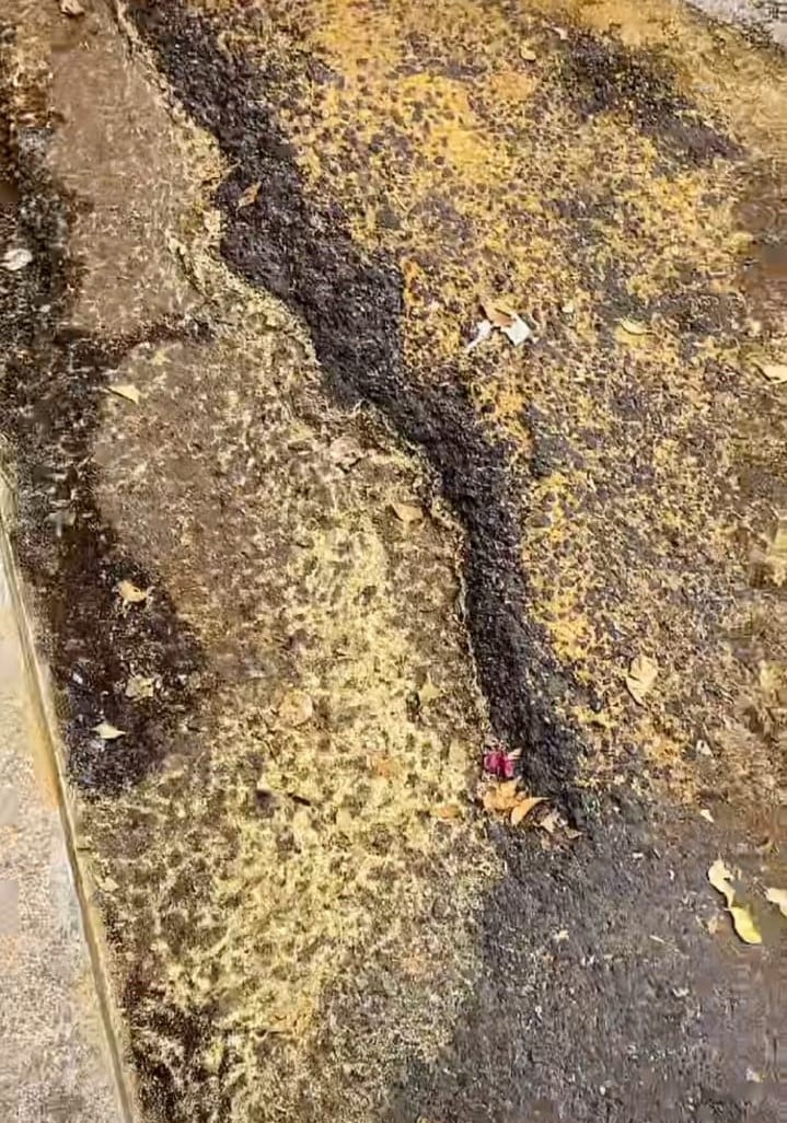 Restos amarillos en los charcos de la CDMX