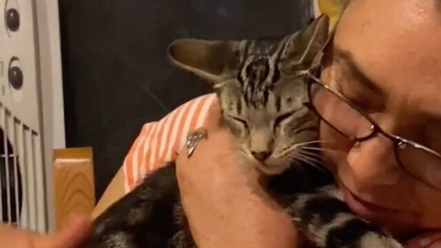 Mamá mexicana regaña y nalguea a gatita