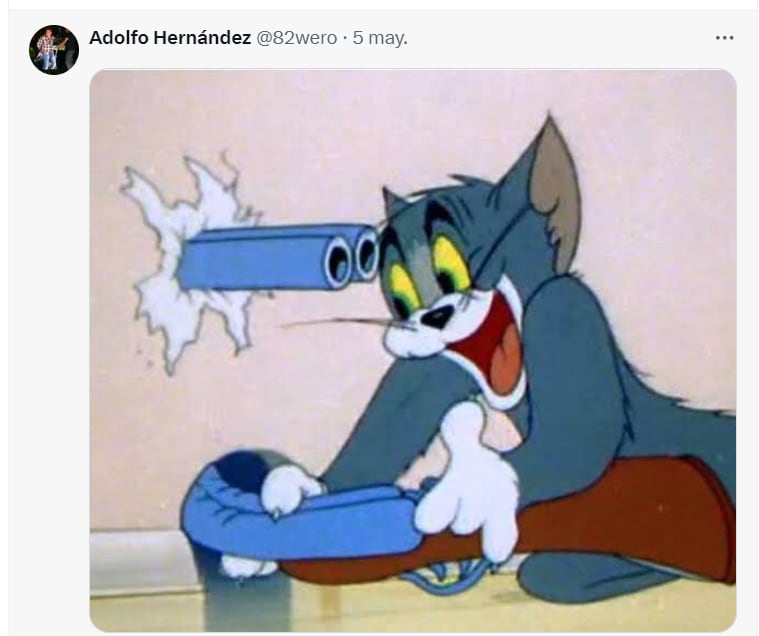 Memes sobre Karla Panini