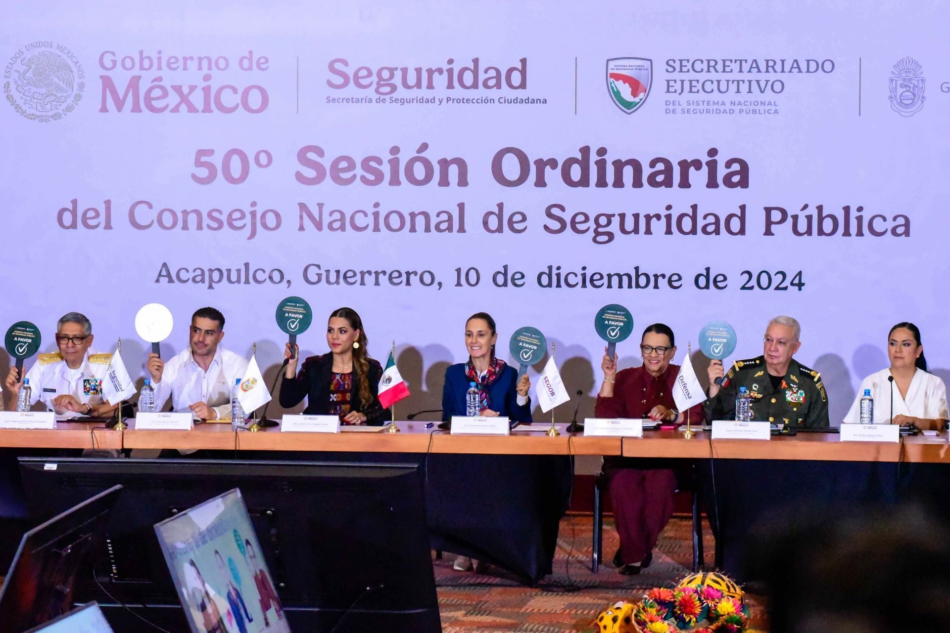 Consejo Nacional de Seguridad Pública
