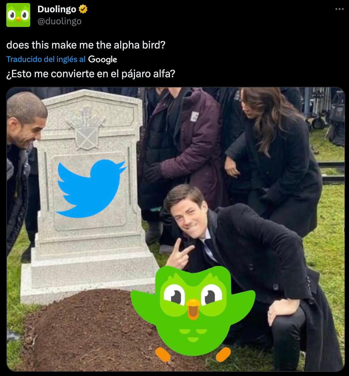 Duolingo celebra la muerte del pájaro de Twitter
