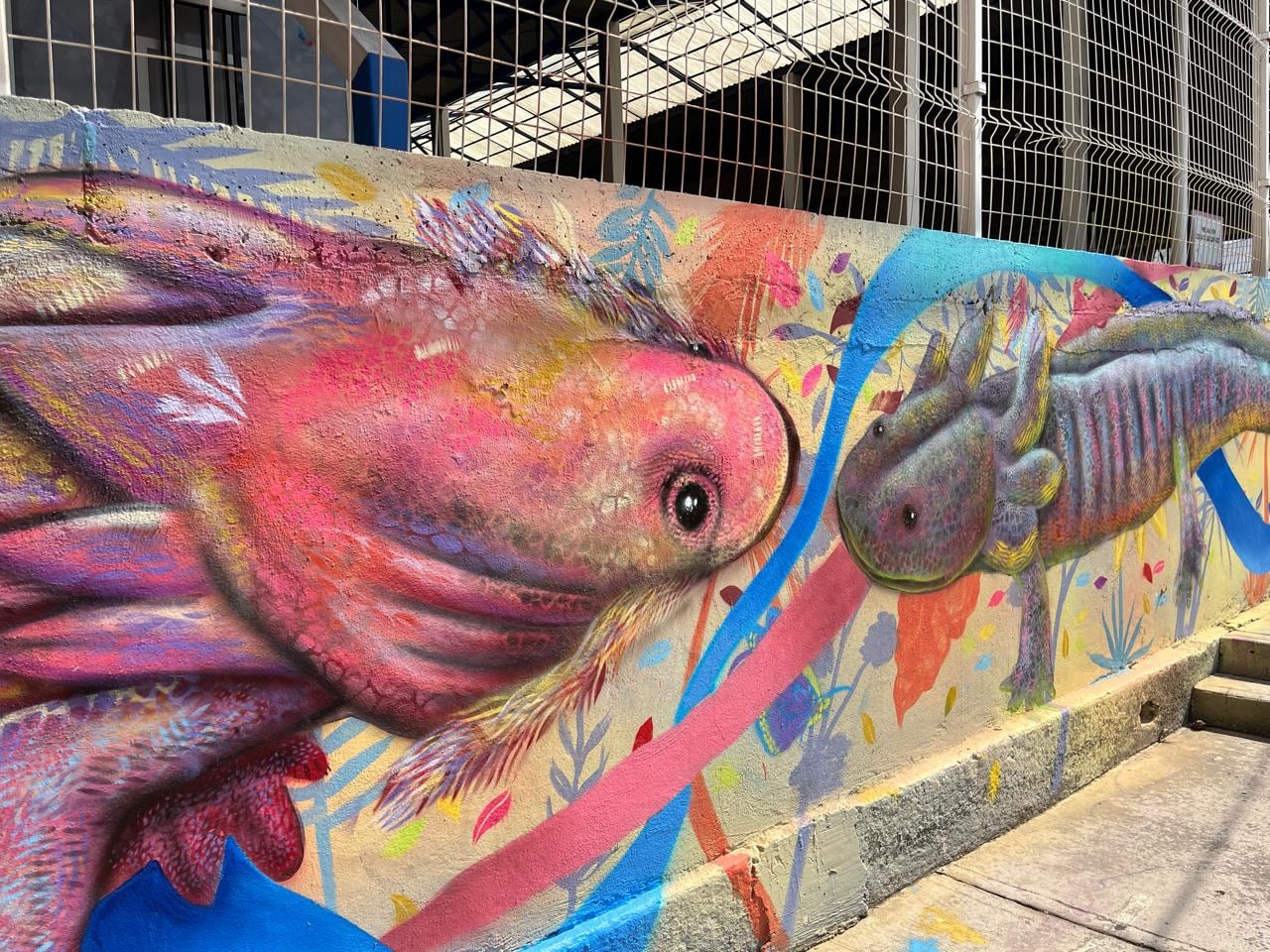 Infonavit fomenta el arte en Cuernavaca