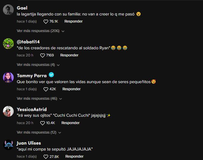 Reacciones a la lagartija que fue rescatada por unos albañiles