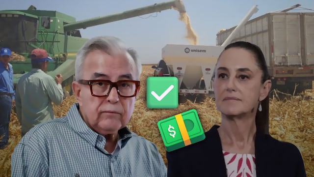 Sheinbaum autoriza pago de 750 pesos por tonelada de maíz: Rocha Moya