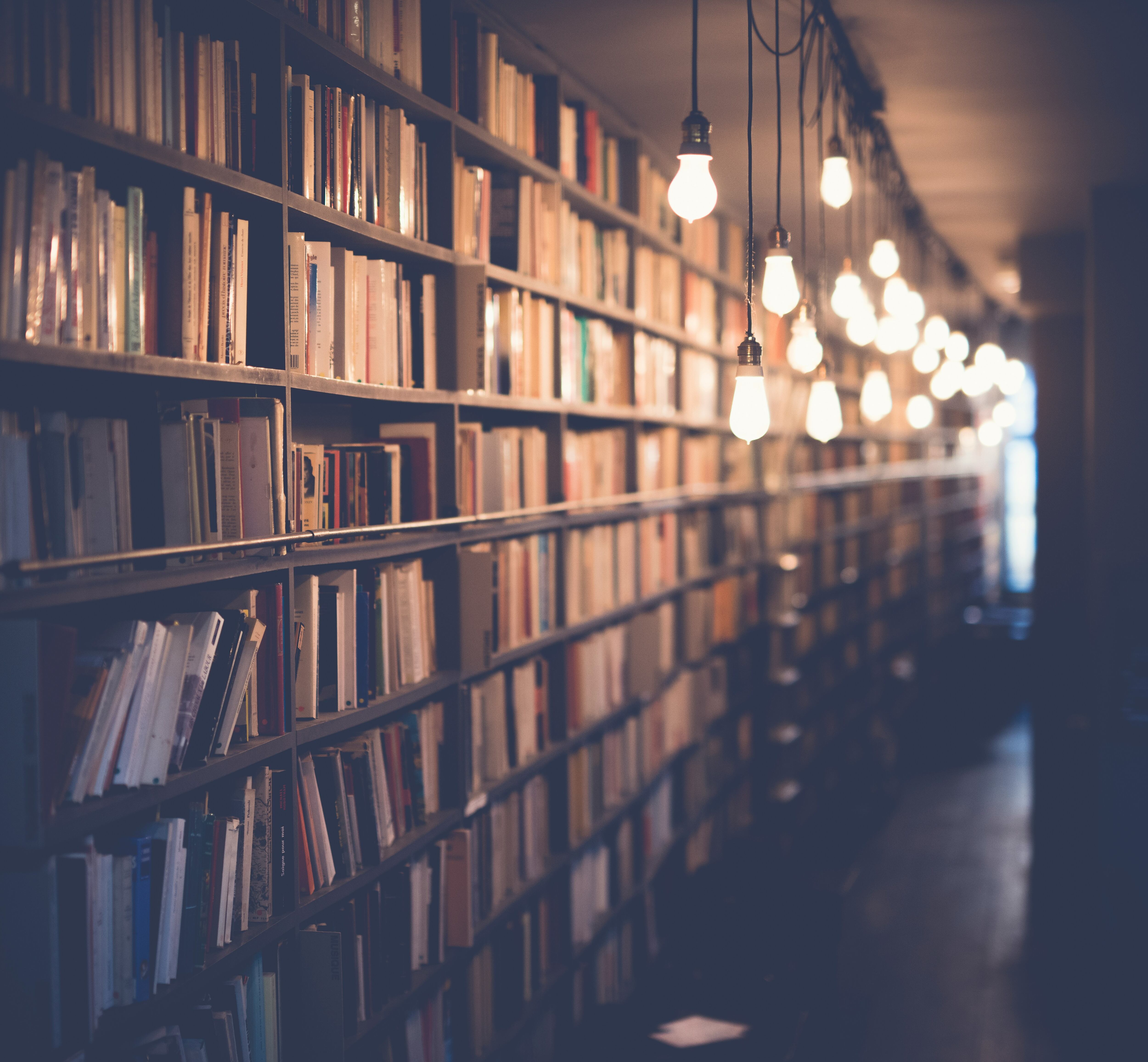 Este 7 de octubre es el Día Internacional de la Biblioteca Escolar