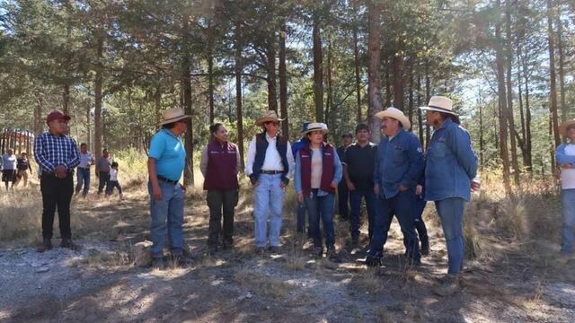 Texcoco te invita a su campaña de reforestación