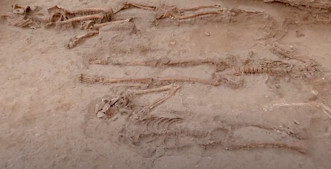 Restos óseos encontrados en el cementerio colonia de Perú