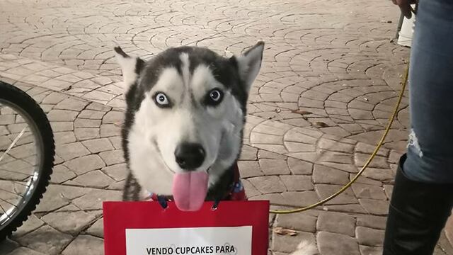 Max vende cupcakes para pagar sus tratamientos