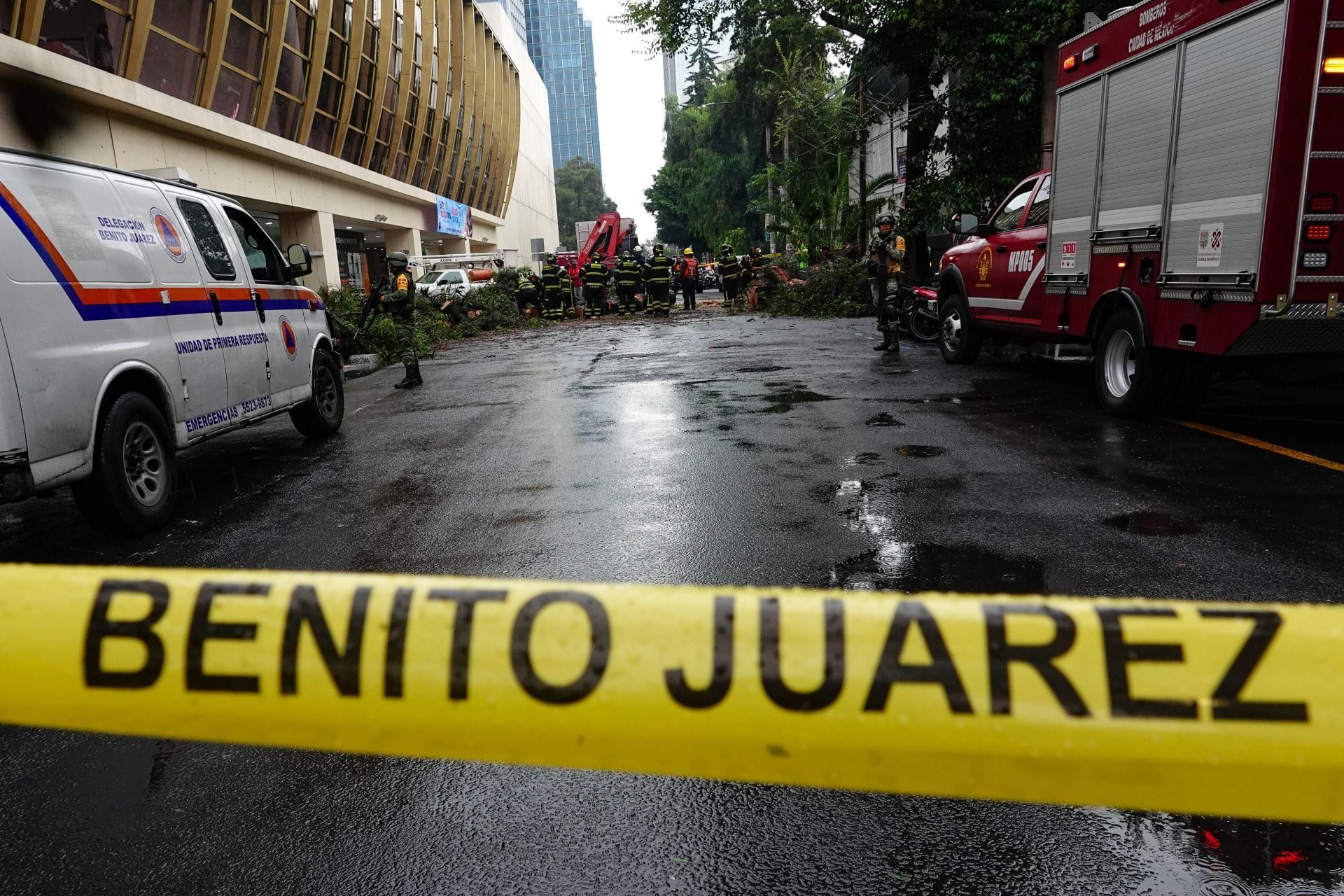 Una mujer murió tras caerle un árbol en la colonia Nápoles; su bebé sobrevivió