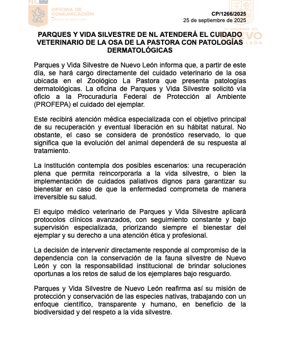 Comunicado sobre osa de Nuevo León