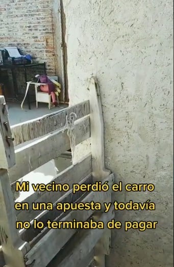 Joven exhibe a sus vecinos por una épica pelea
