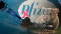 Falso: Pfizer no desarrolla una vacuna contra el hantavirus