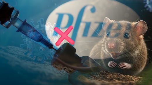 Falso: Pfizer no desarrolla una vacuna contra el hantavirus