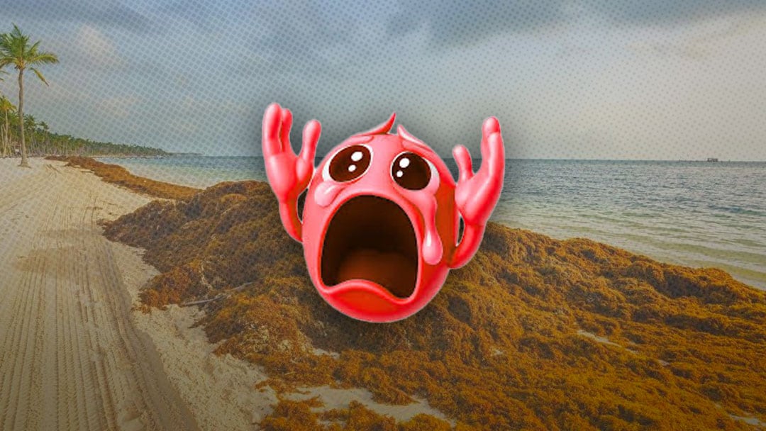Playas de Quintana Roo tendrán este grave problema