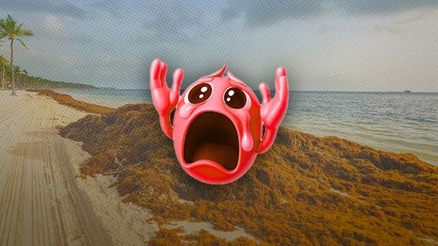 Playas de Quintana Roo tendrán este grave problema