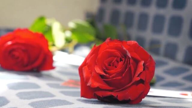 Rosas en asientos