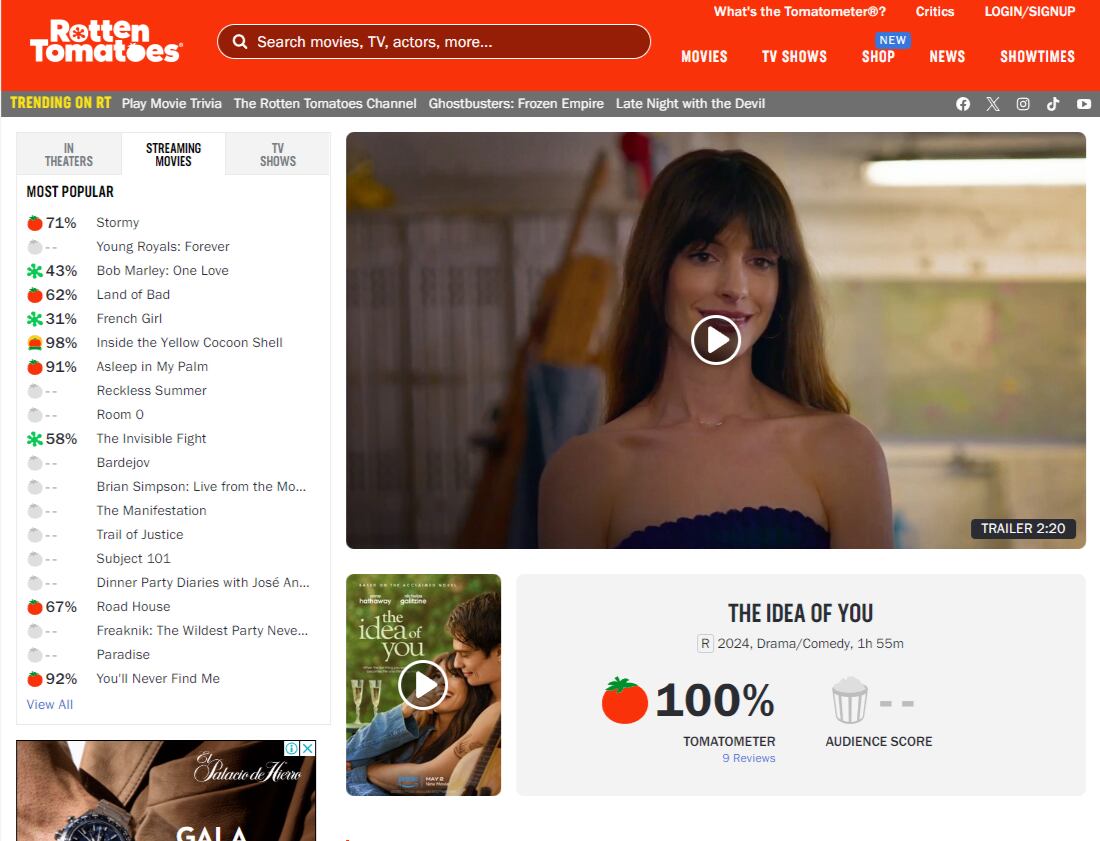 Calificación de The Idea of You en Rotten Tomatoes