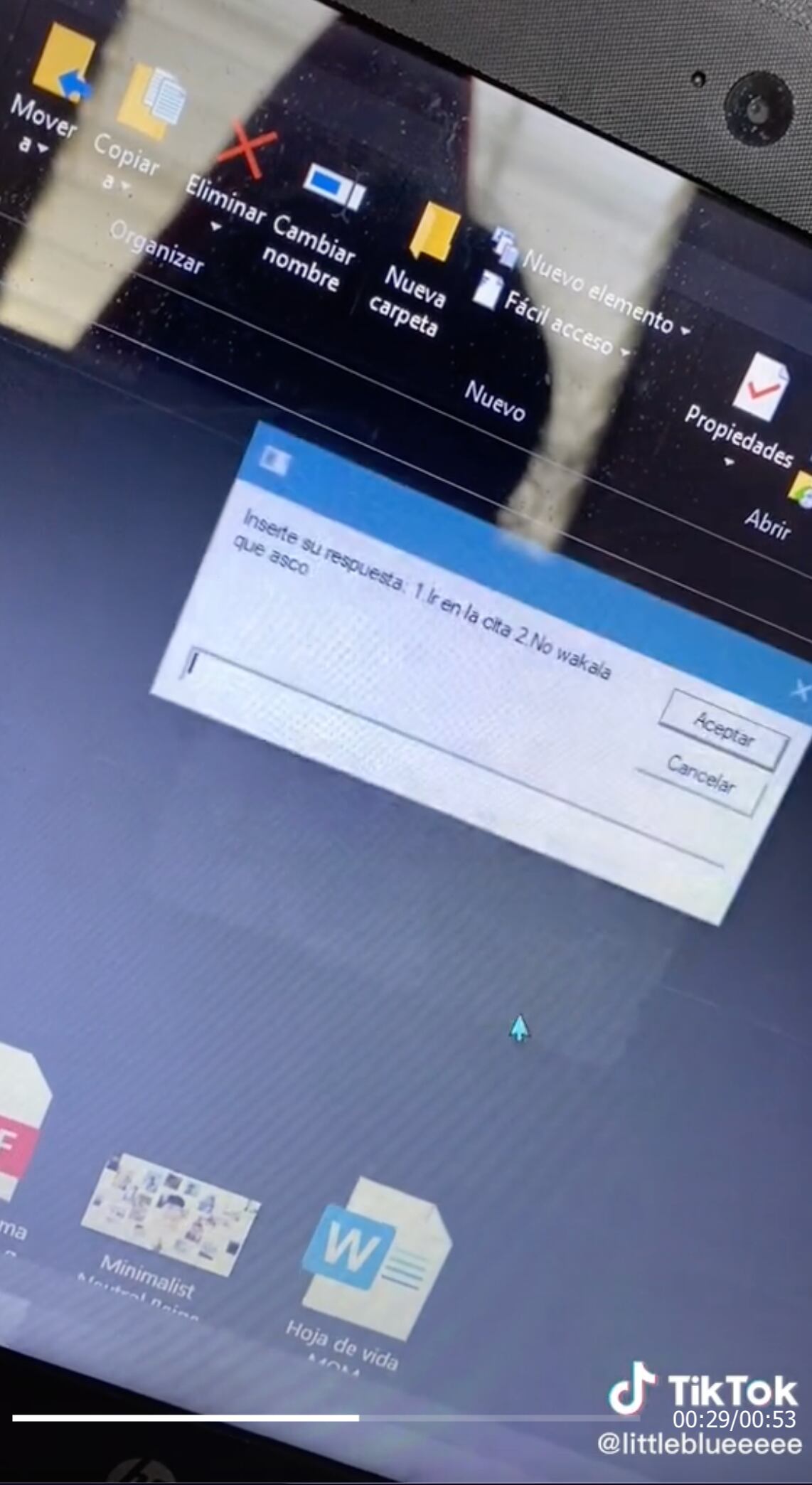 VIDEO: Con programa ingeniosamente le pide salir con él en TikTok