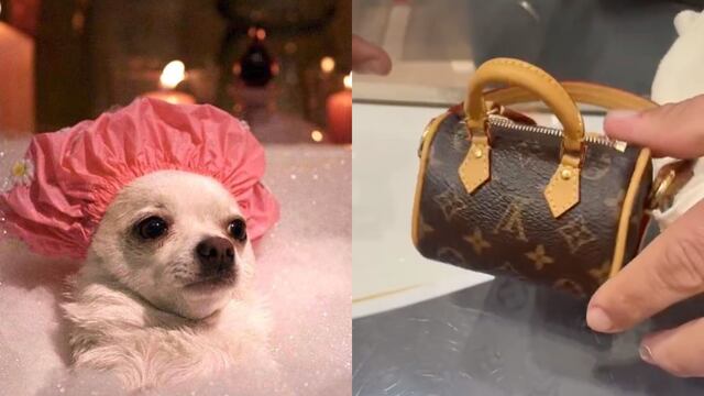 Bolsa para recoger popo de perro de Louis Vuitton