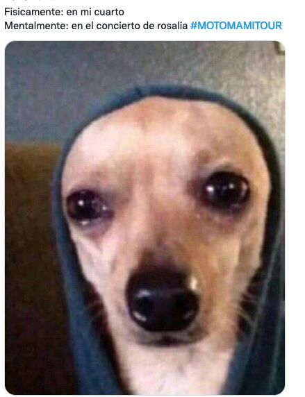Meme de Rosalía en concierto de CDMX.