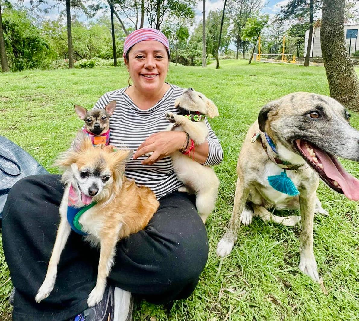 ¿Quién es Xóchitl Bravo?