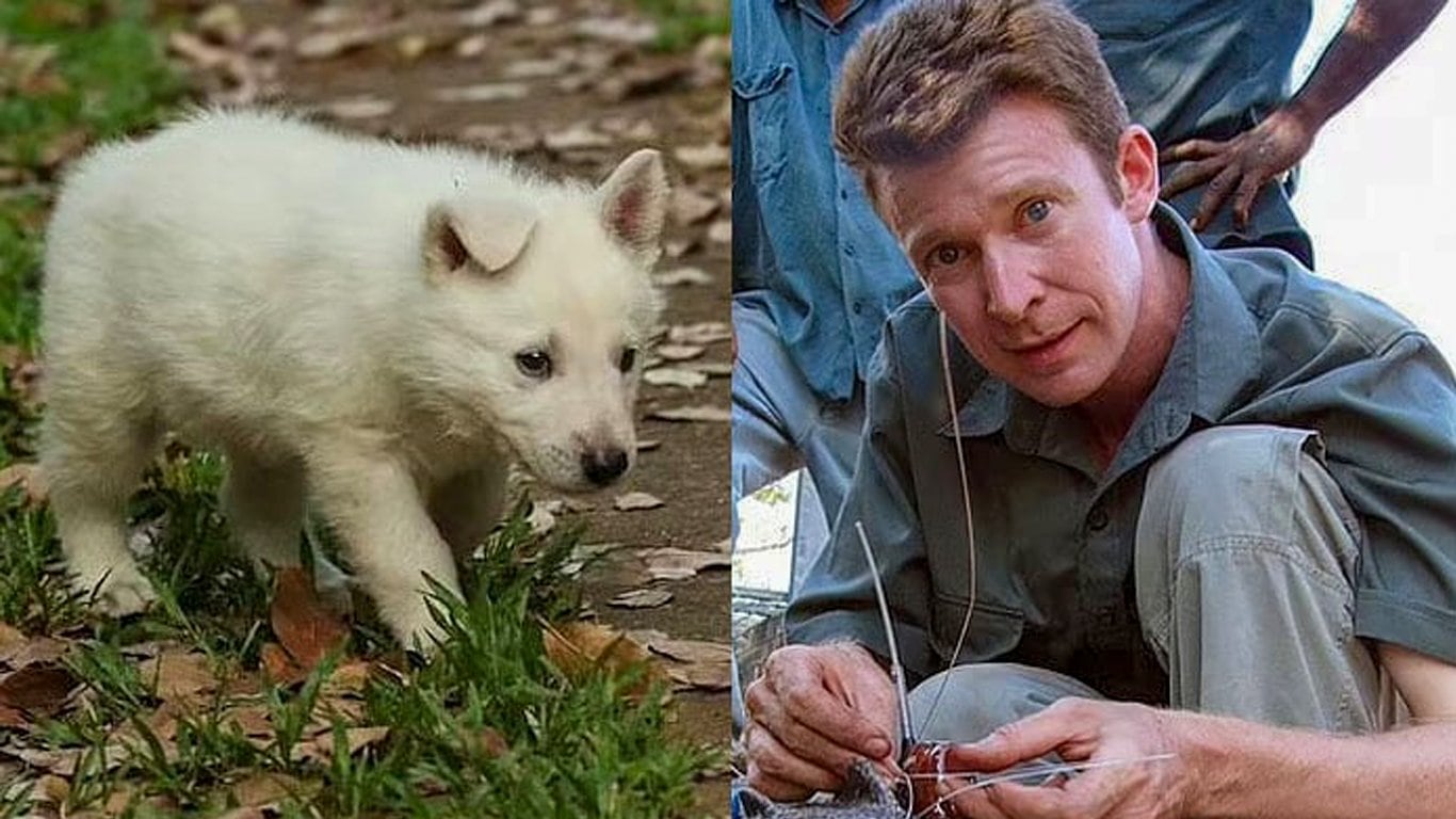 Adam Britton fue sentenciado por sus crímenes contra perros