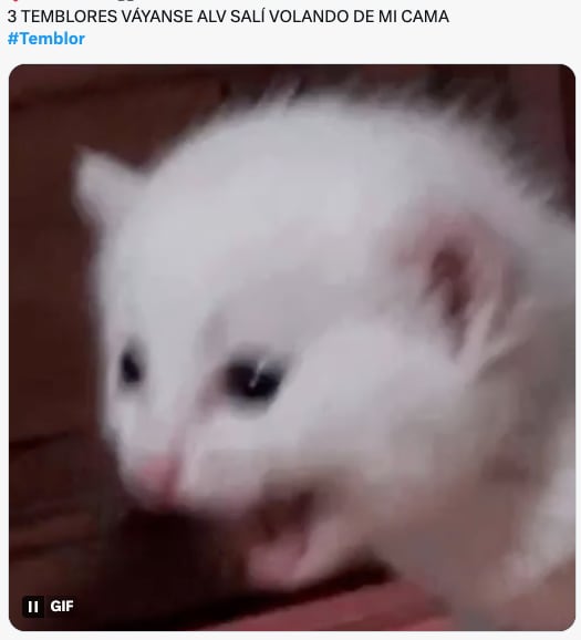 Memes del sismo en CDMX este 14 de febrero
