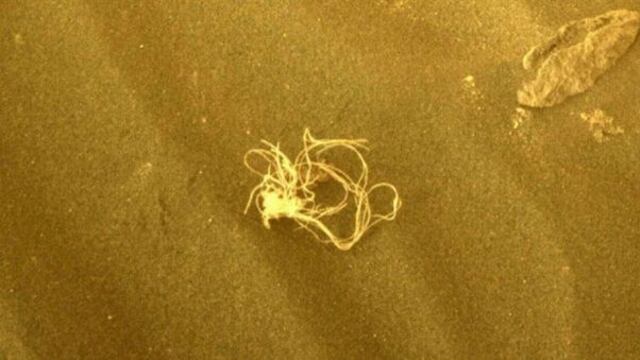 Espaguetis encontrados en Marte por Perseverance