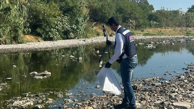 Monterrey participa en Mega Jornada de Limpieza.