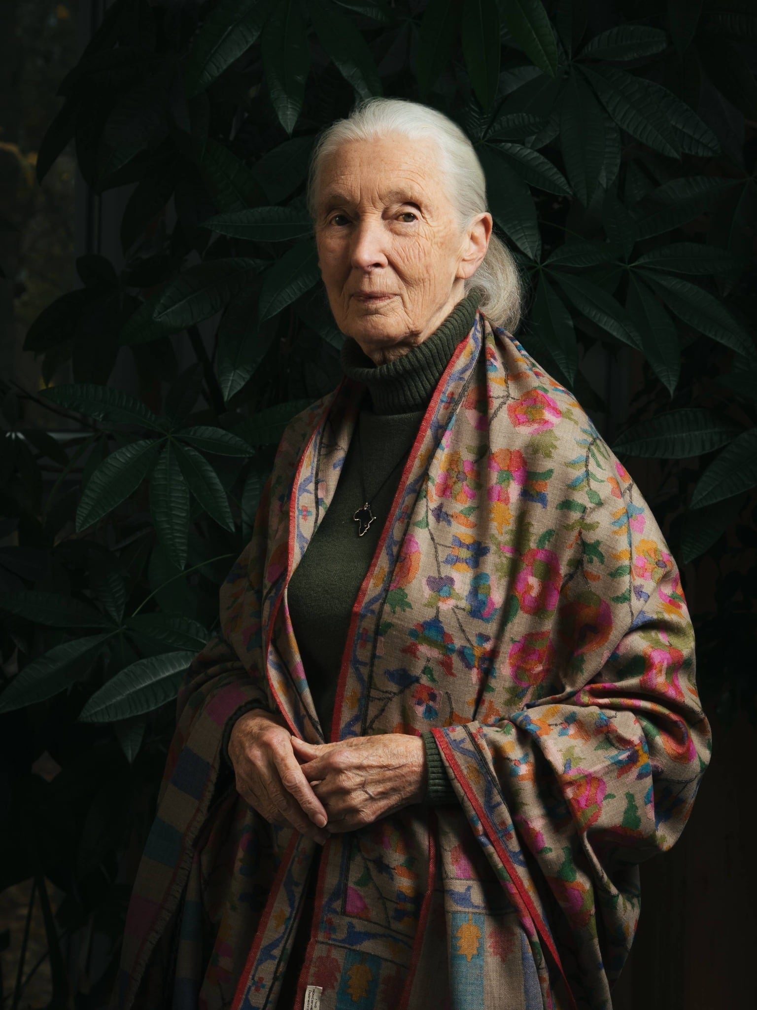 Muere Jane Goodall a los 91 años de edad