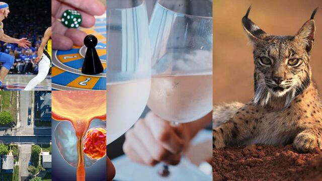 Efemérides del 11 de junio