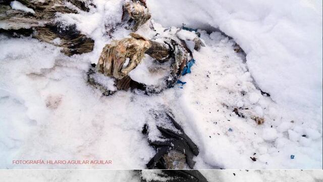 "El Calavera" y "La Voz" serían los cadáveres localizados en el volcán Citlaltepetl, sin embargo, faltaría por localizar a "Indio Verde"