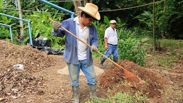Jornada de reforestación en Tabasco